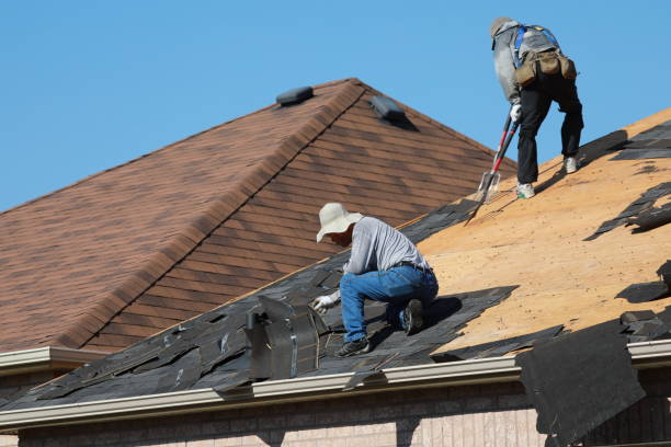 Best Metal Roofing Installation  in Elfers, FL