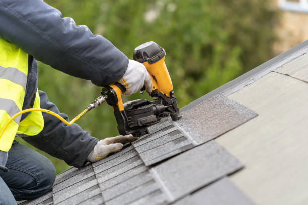 Best Solar Panel Roofing Installation  in Elfers, FL